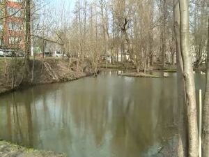 В прошлом году территория водоема Чернавка была очищена…