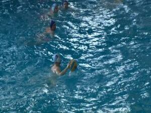 Раменский бассейн  имеет необходимую  сертификацию и…