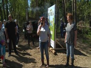 Пострадавшие от жука-короеда и пожаров деревья…