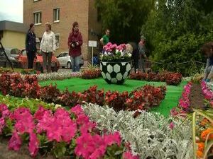 Более 17 бригад вышли сегодня на посадку цветов на улице…