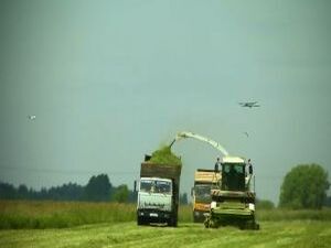 Сельскохозяйственные предприятия Раменского района…