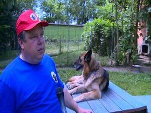 День кинолога празднуется в России 21 июня. Дата…