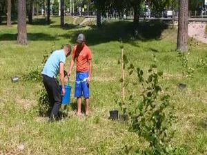 С древних времён посадить дерево считалось добрым знаком…