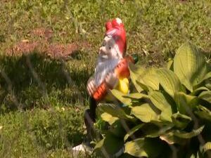 Регистрация земельных участков и объектов недвижимости…