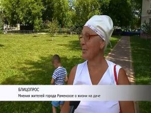 Вовсю идёт разгар дачного сезона. На клумбах…