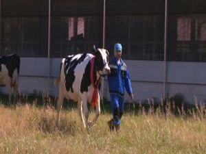 Подготовка к конкурсу начинается за несколько месяцев…