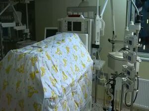 В 2017 году в Подмосковье в рамках Губернаторской…