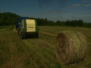 Программа Губернатора Андрея Воробьёва: «Наше…