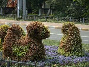 Город Раменское с каждым годом все больше радует своих…