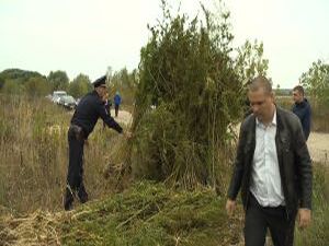 В Раменском районе продолжается комплекс мероприятий по…