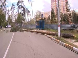 Недавно на нашем канале вышел репортаж с улицы Серова…