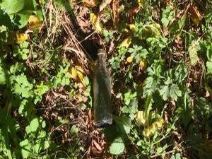 В Студию Раменского телевидения   часто поступают звонки…