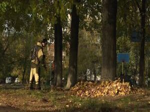 Сотрудники МБУ «Содержание и благоустройство…