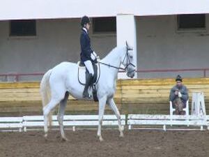4 октября на базе конно-спортивного клуба «Созвездие» в…