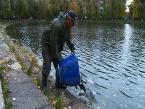 Зарыбление водоёма  производится  для эстетической цели…