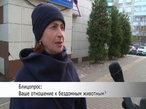 Ежегодно 4 октября, в мире отмечают Всемирный день…