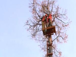 Угрожающая красота. На днях энергетики Московской…