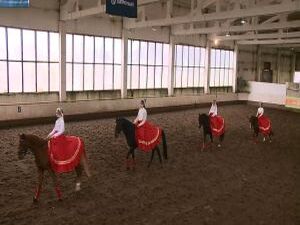 В честь дня Народного единства в манеже Раменского…