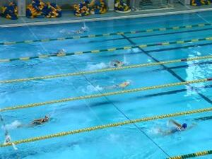 Открытое первенство по плаванию спортивной школы «Сатурн…