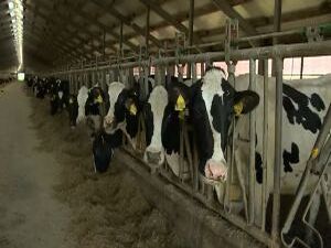 30 ноября 2018 года в Доме Правительства Московской…