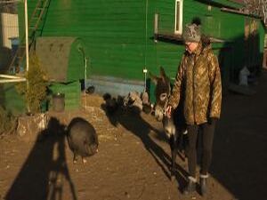 19 декабря Государственной Думой был принят закон о…