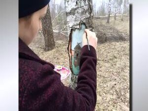 Раменские студенты не только активны, но и креативны…