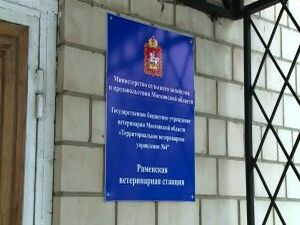 Опасное заболевание – бешенство – вновь появилось в…