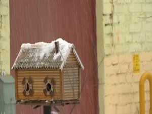 В этом году зима особенно щедра на осадки. Один и тот же…