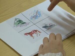 13 февраля во всех регионах России проводилось итоговое…