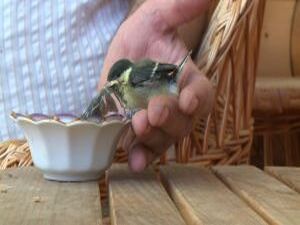 19 февраля свой профессиональный праздник отмечают…