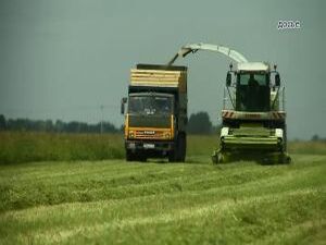 Порядка 3-х тысяч Га земли Подмосковья передадут на…