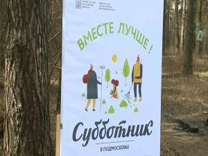 Суббота в Раменском ознаменовалась ударным трудом…