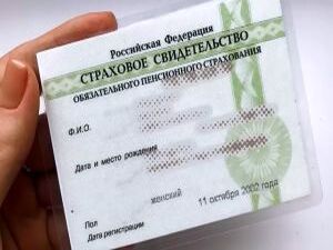 Новые поправки внесены в законодательство, касающиеся…