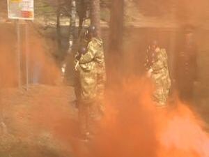 В теплый весенний день на территории Кратовского озера…