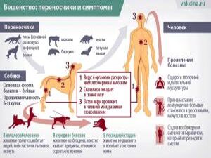 В мае в Московской области стартовал месячник по…