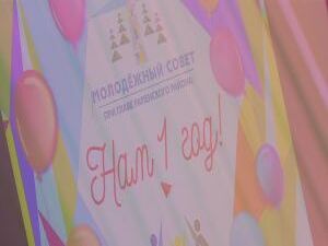 Молодёжный совет при Главе Раменского района отметил…