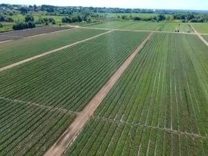 В фермерском агросоюзе «За Родину» постоянно внедряются…