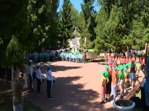 Чистый сосновый воздух, занятия на любой вкус и новые…