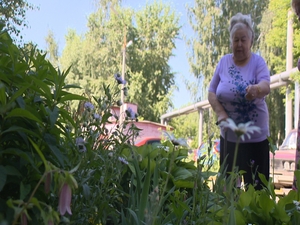 В Раменском продолжается благоустройство дворовых…