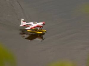 День России! 29 лет назад, 12 июня 1990 года, приняли…