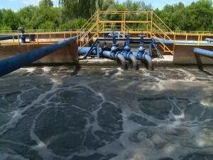 Именно на летний период приходятся глобальные работы по…