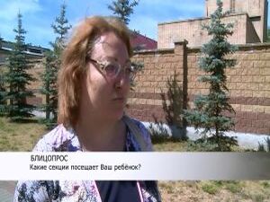 В продолжении темы. Какие секции и кружки посещают юные…