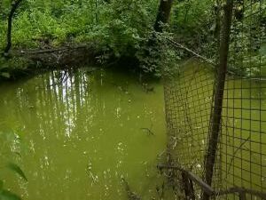 Несанкционированный слив канализации в реку Хрипань и…