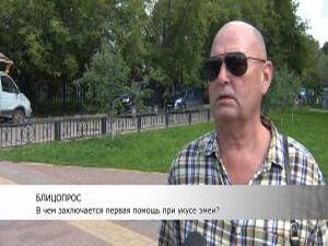 Сбор урожая в лесу несёт вместе с удовольствием ещё и…