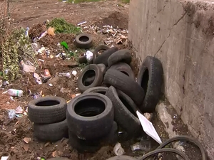 В Подмосковье продолжается борьба за чистоту региона…