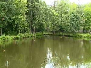 Вопрос благоустройства в Раменском районе был рассмотрен…