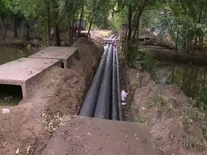 Благоустройство прудов Чернавки находится под постоянным…