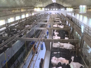 Николай Воробьев в рамках рабочего визита посетил…