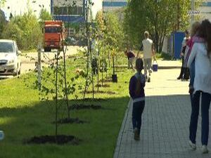 По поручению Губернатора Подмосковья Андрея Воробьева в…