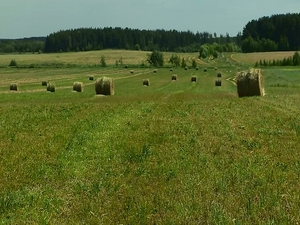 Штрафы за несоблюдение режима охраны редких почв могут…